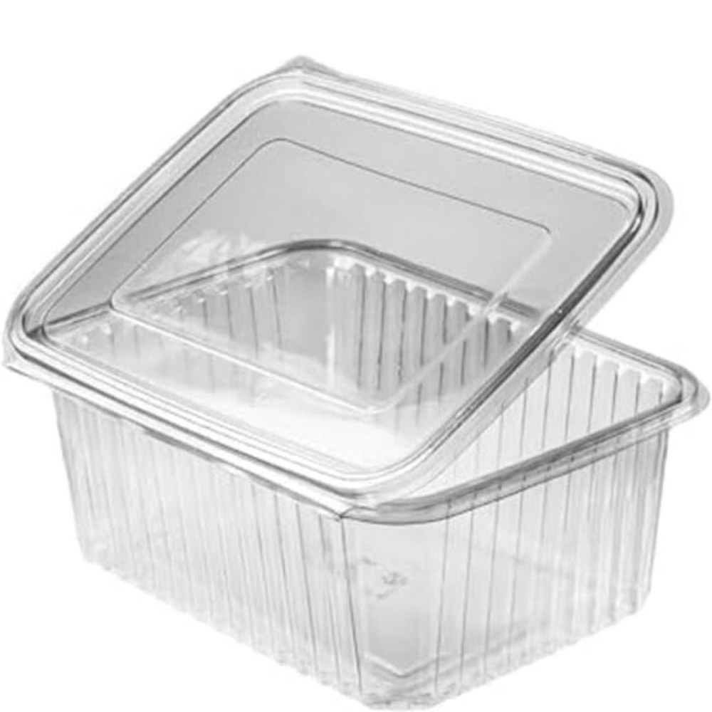 Transparent Hinged PET Container